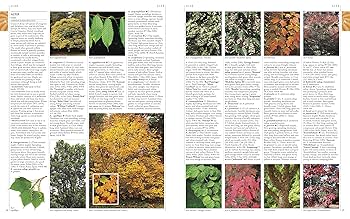 A-Z Encyclopedia Of Garden Plants: A-Z ENCYCLOPEDIA OF