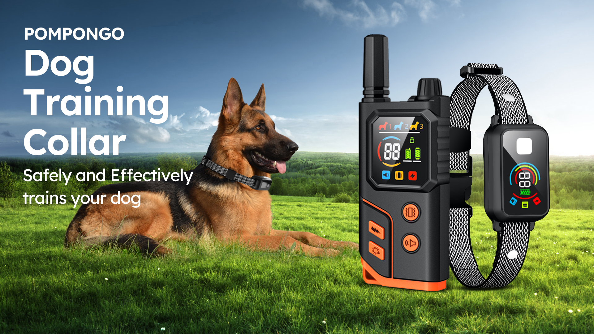 Amazon.com: Dog Shock Collar 4000FT with Light for Night