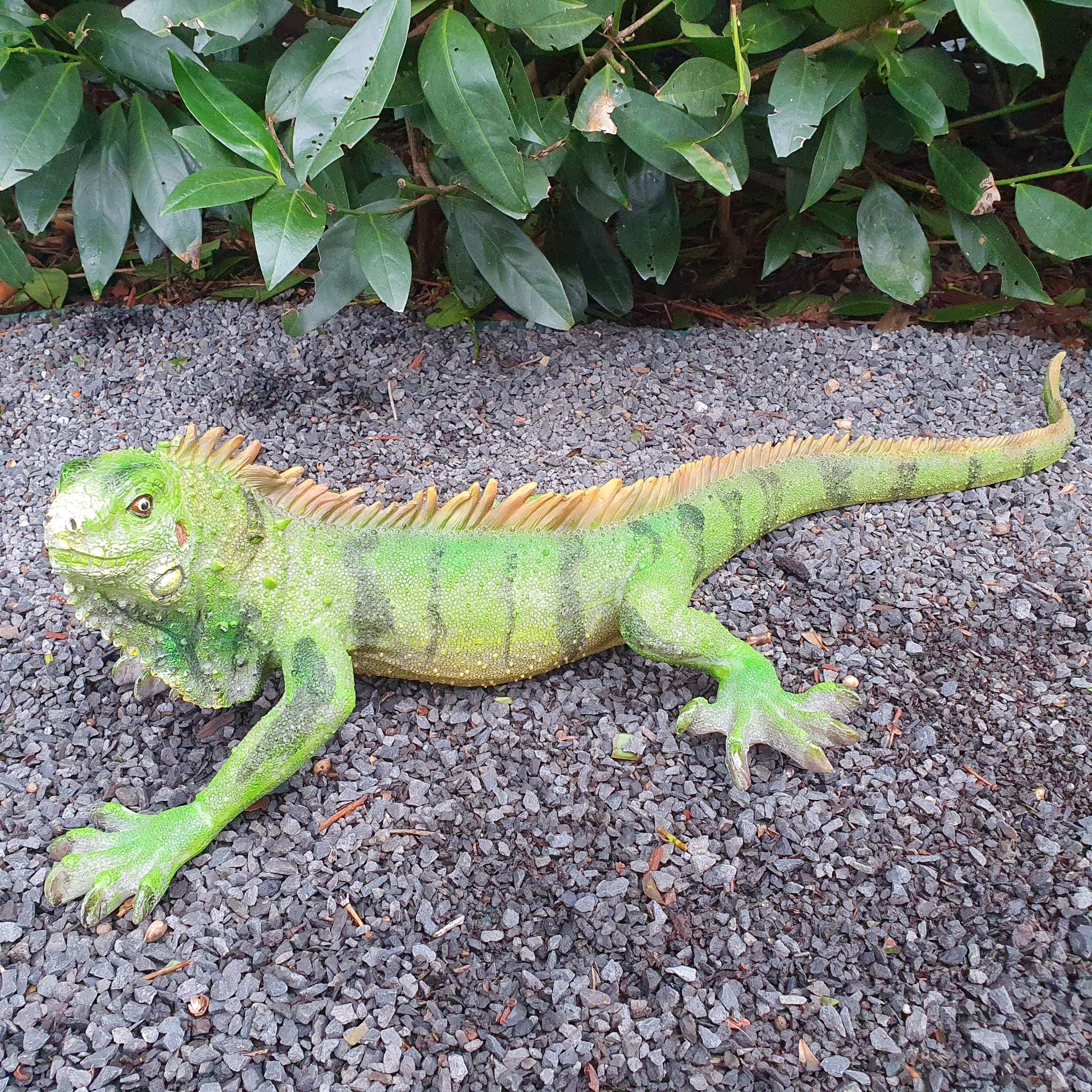 Gartenfigur Leguan 60 cm grün-braun flach breit – wetterfeste Leguanfigur Großformat gespreizt, Reptil Garten Deko Kunstharz