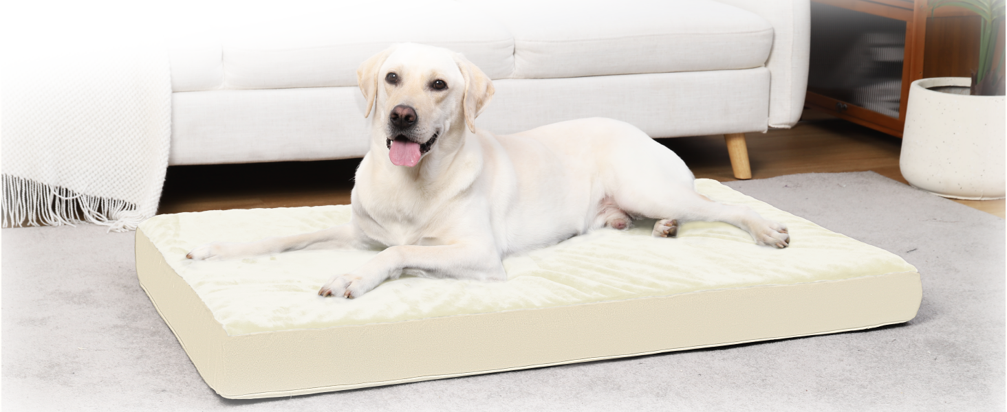 Favodormir Orthopedisch hondenbed voor grote honden, 119 x 73 cm, afneembare waterdichte kunstleren hoes, hondenkussen, hondenmatras voor grote honden, comfortabel en verkoelend, voor binnen en buiten