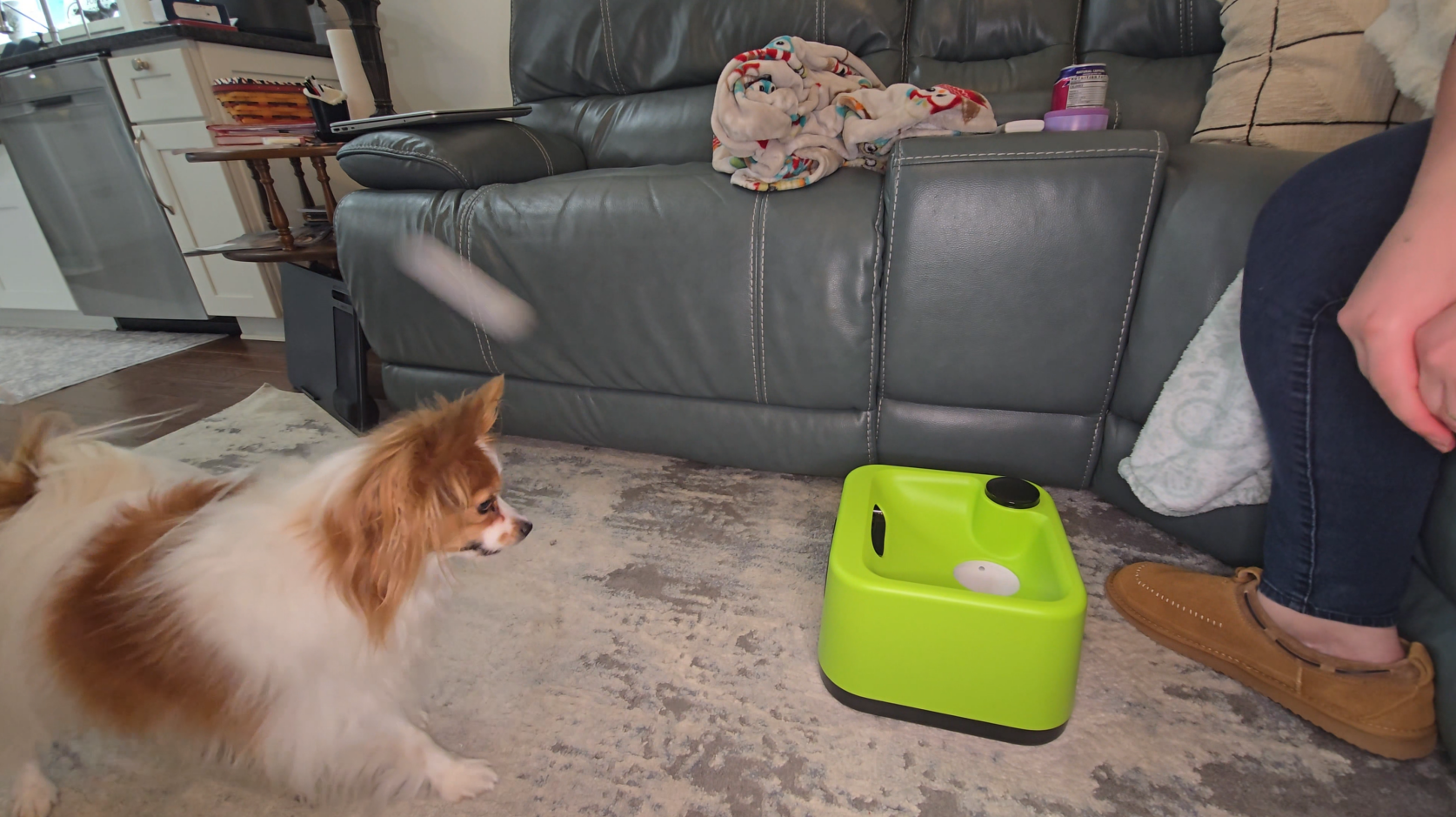 Automatic Dog Ball Launcher, Upgrade 2 in 1 Interactive 3 Adjustable Distances Dog Ball Thrower for Small Medium Large Dogs, Rechargeable Brain Training Paw-Activated Balls Launcher with 4 Balls - image 8