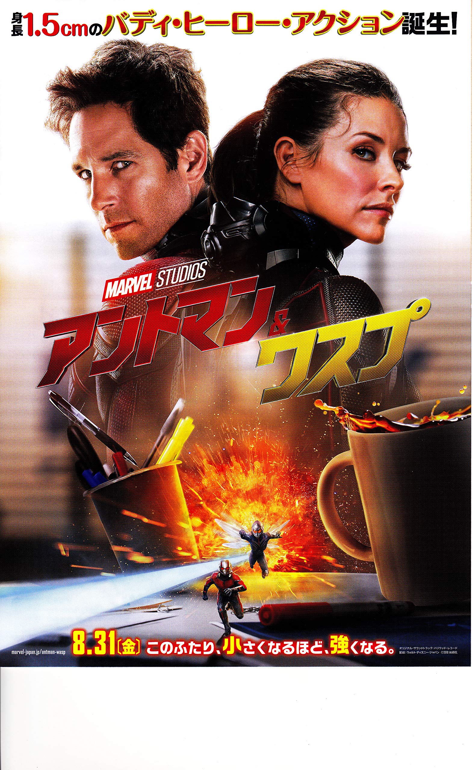 Amazon.co.jp: 【映画パンフレット】アントマン＆ワスプ 監督 
