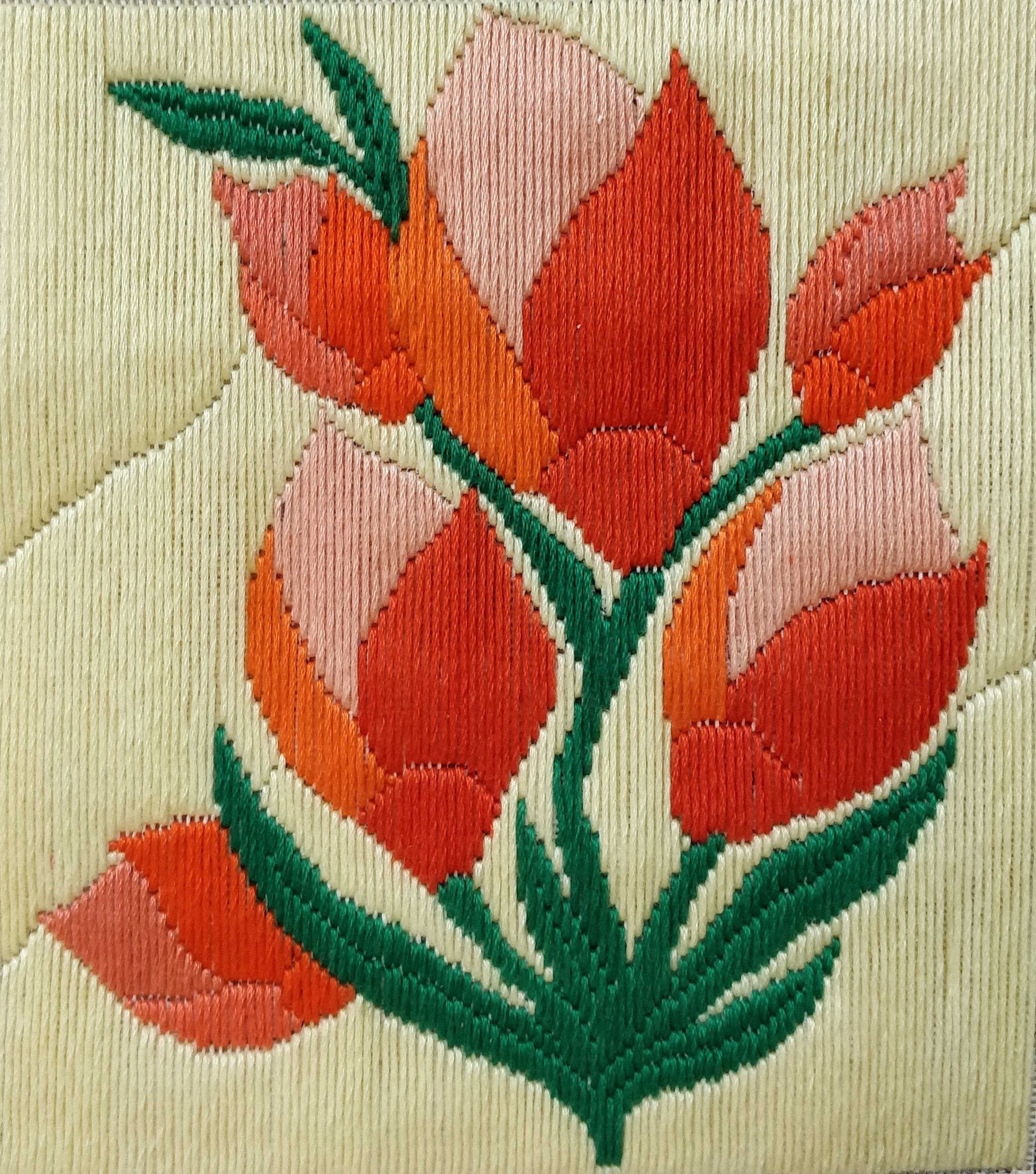 Anchor Canvas Stitch Kit - Coral