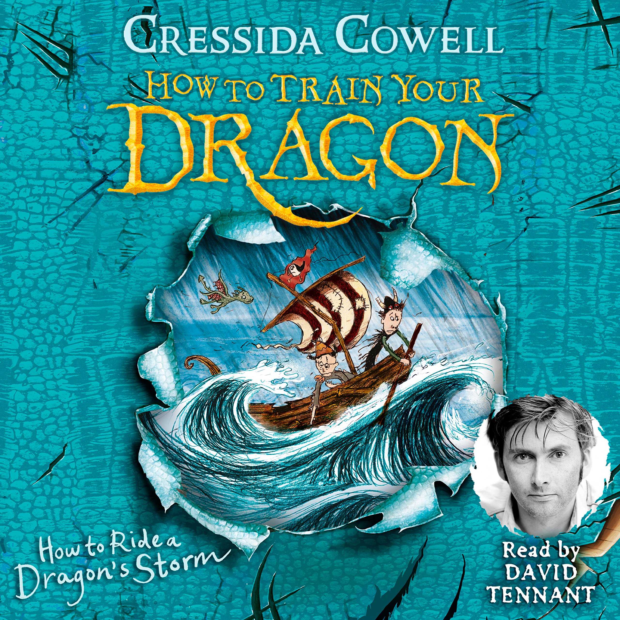 Cover art for How to Ride a Dragon's Storm