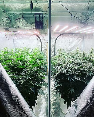 Miniatura 6 de Bolsa de cultivo de 10 galones, macetas de plantación - Bolsas de cultivo de plantas coloridas para jardinería de vegetales - Contenedor de planta