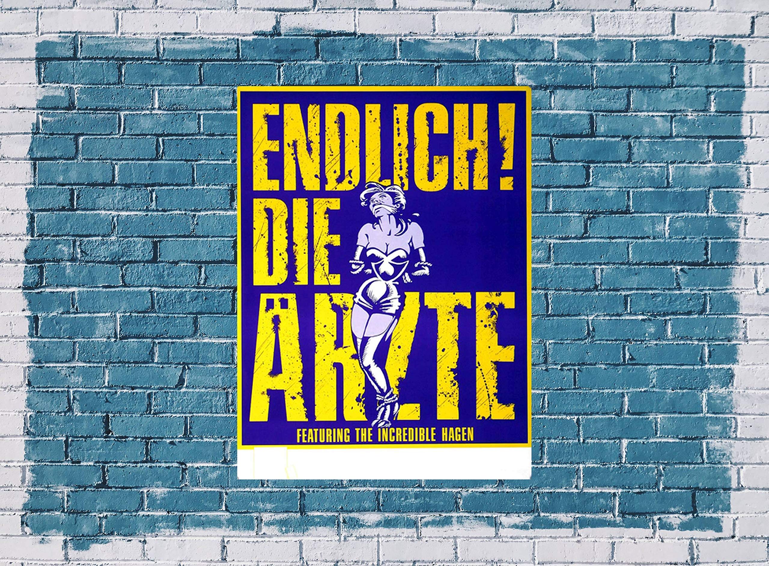 Premium Poster/Plakat | DIN A1 | Live Konzert Veranstaltung » Die Ärzte - Endlich, 1992 «