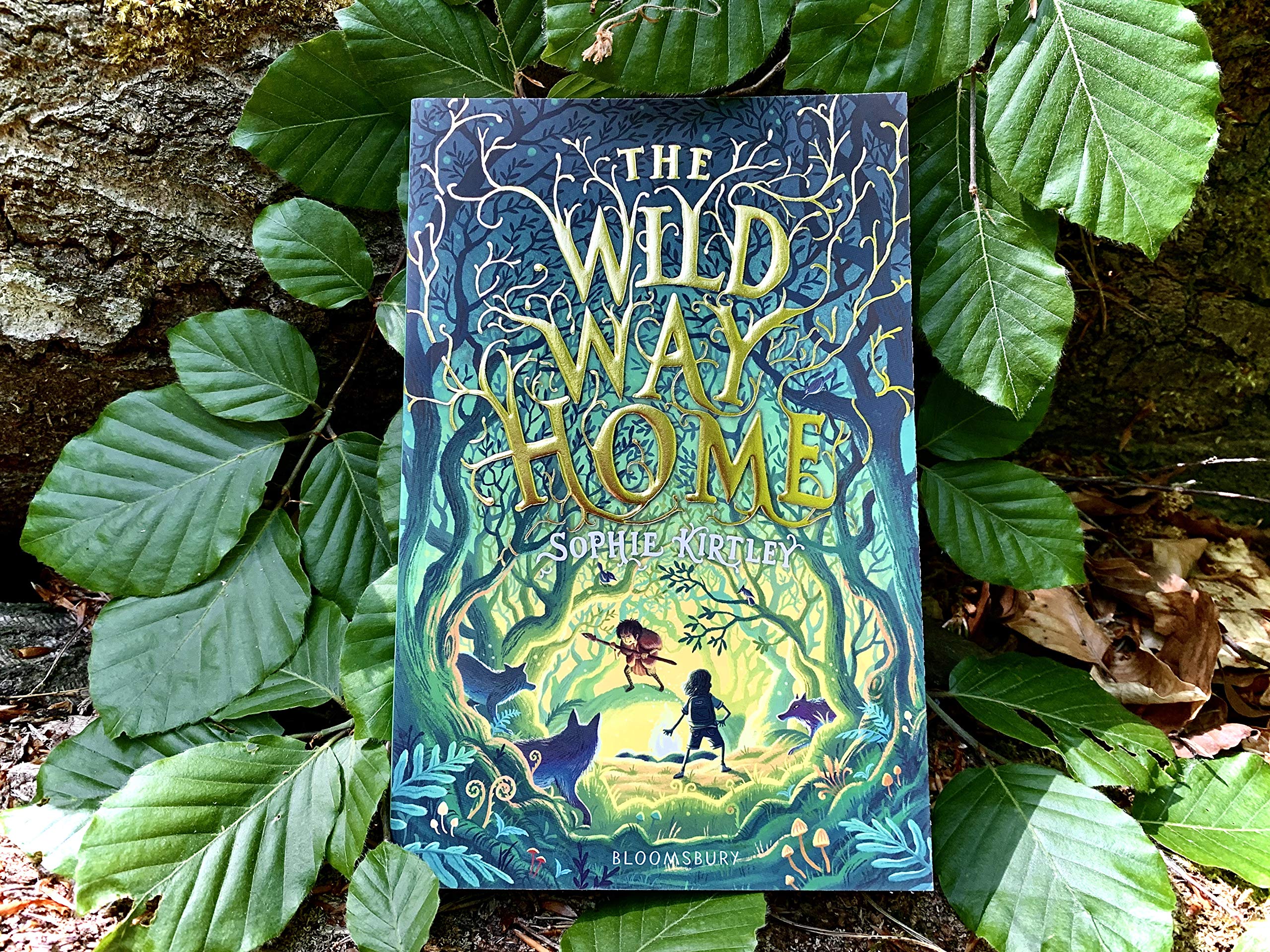 The Wild Way Home