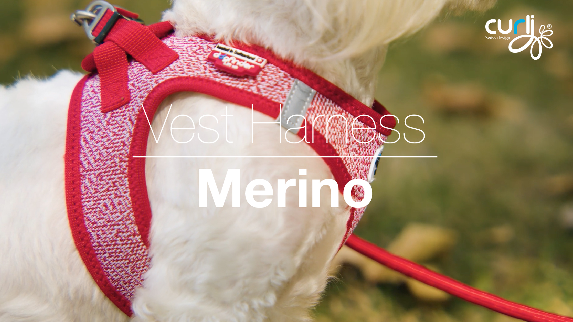 Curli Vest Harness Merino - Black | Hond | Bestel