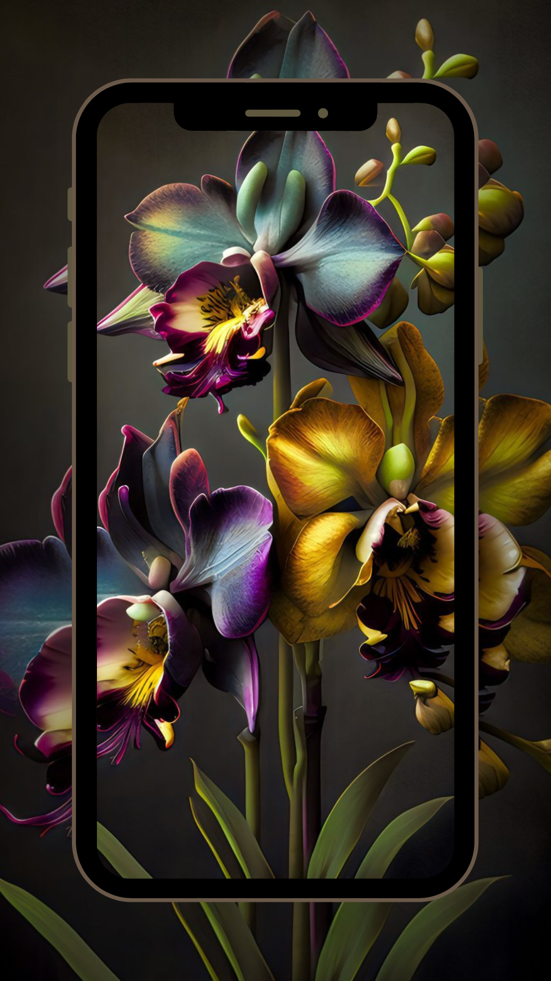 Orchids Wallpaper HD - App on the Amazon Appstore