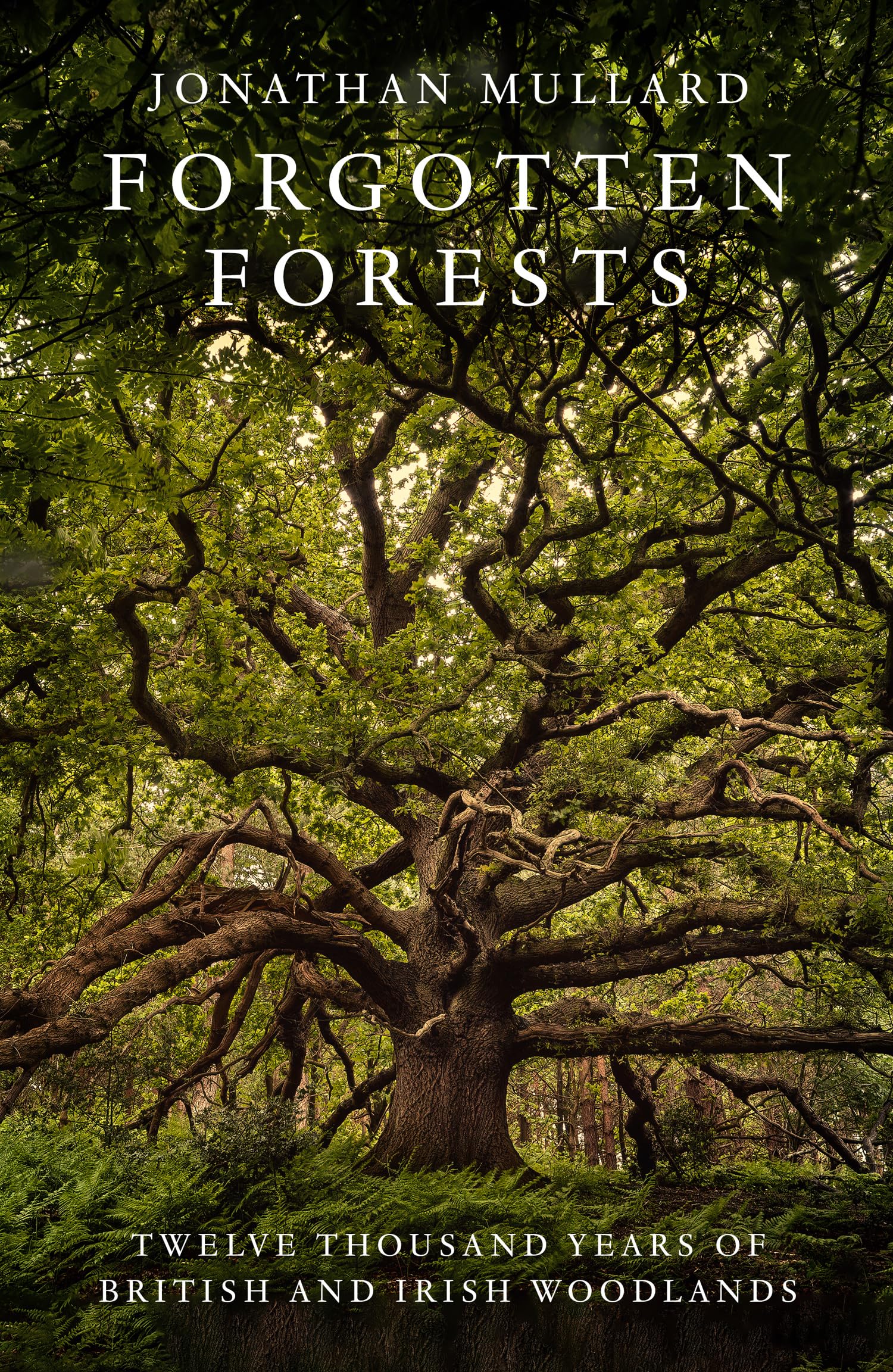 Forgotten Forests: A Comprehensive New History of Our Trees and Woodlands