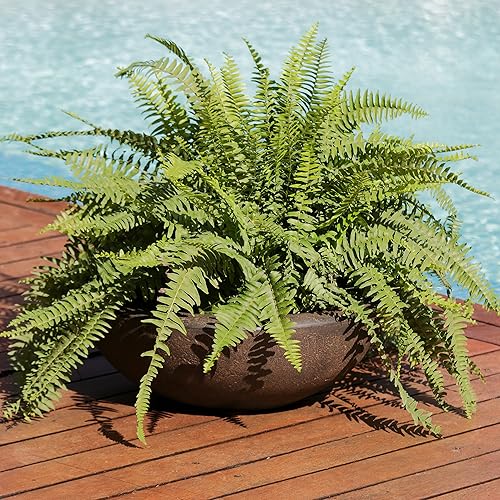 Miniatura 5 de Sunnydaze Percival - Juego de 4 macetas de poliresina de doble pared para interiores y exteriores, 20.75 pulgadas con acabado de sable resistente a