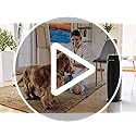 GermGuardian HEPA Air Purifier for Home, Large Rooms Up To 743 Sq. Ft. with HEPA PURE Air Filter, Air Quality Monitor & UV-C Light, AC4880B, 22" Tower, Black