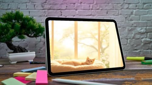 Playful Paws Paradise - Adorable Cat Antics & Purring Sounds for a Relaxing TV Screensaver