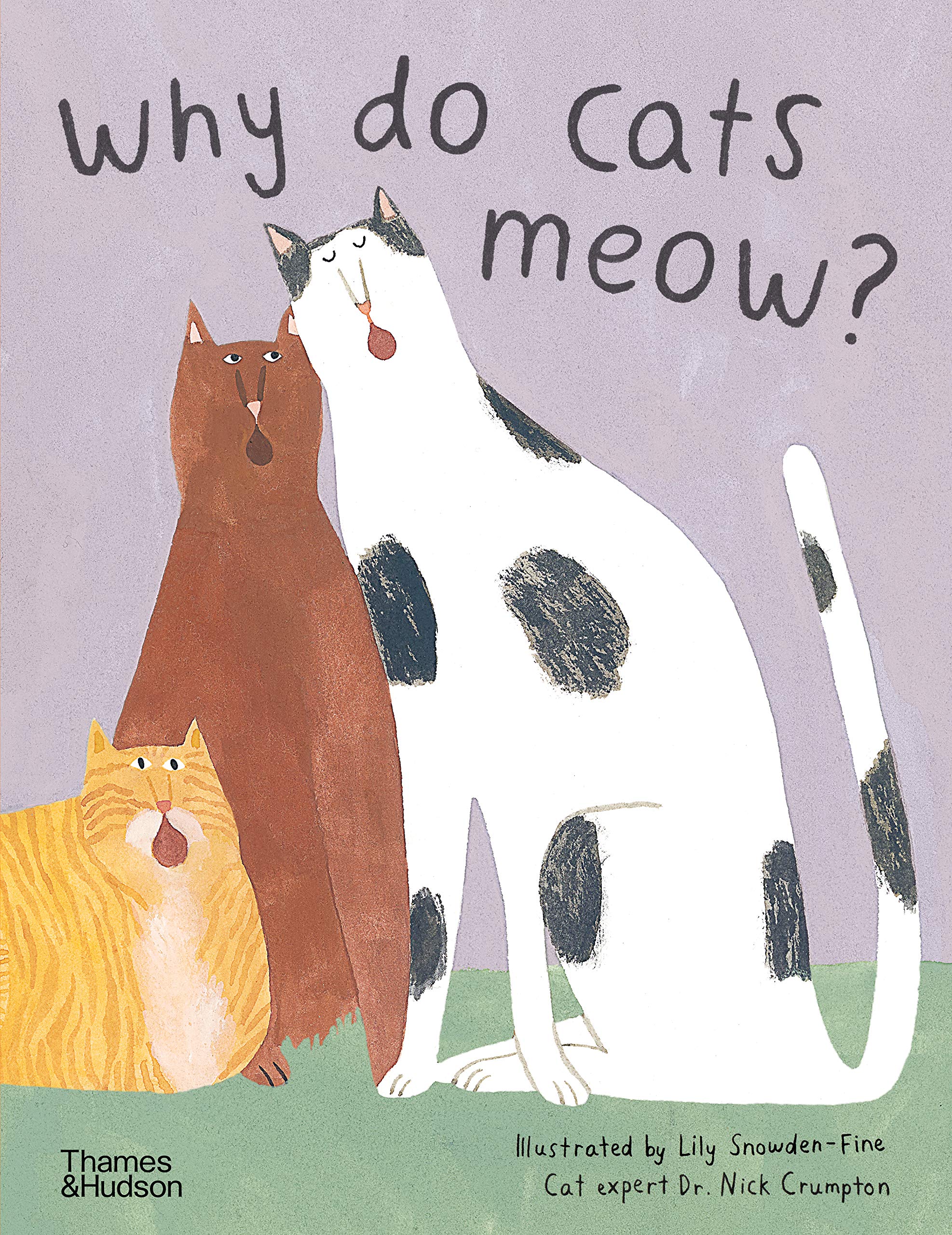 Why do cats meow?: Curious Questions about Your Favourite Pet: 1