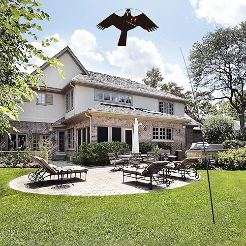 Miniatura 5 de Bird Hawk - Cometa voladora sin poste para cultivos, protector de granja, cometas voladoras de pájaros, cometa estilo C sin poste