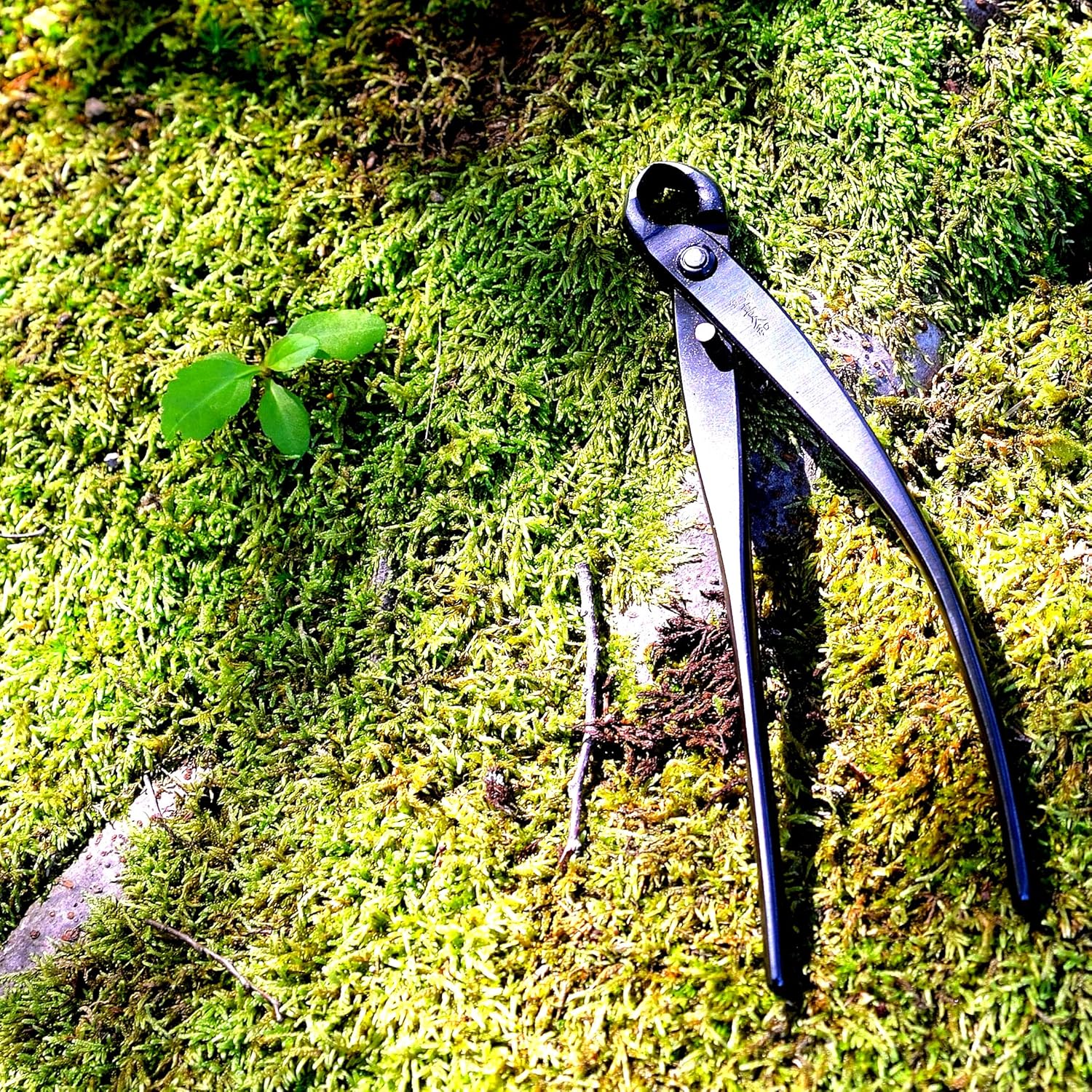 KAKURI Bonsai Knob Cutter 6.8" (175 mm) Professional Bonsai Tool, Japanese Carbon Steel, Concave Curved Blade, Black, Made in JAPAN