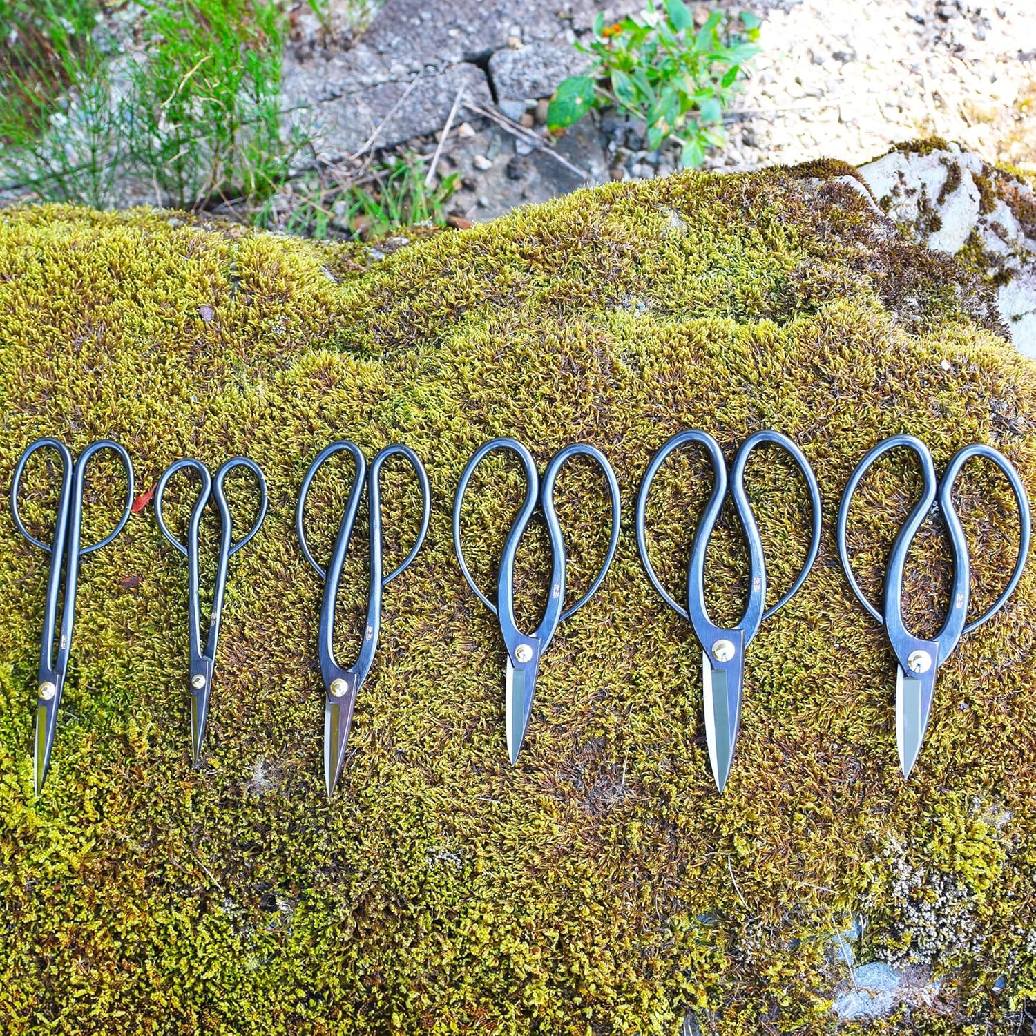 KAKURI Bonsai Scissors Made in Japan 7", Japanese Carbon Steel Blade, Traditional Bonsai Shears for Pruning and Trimming