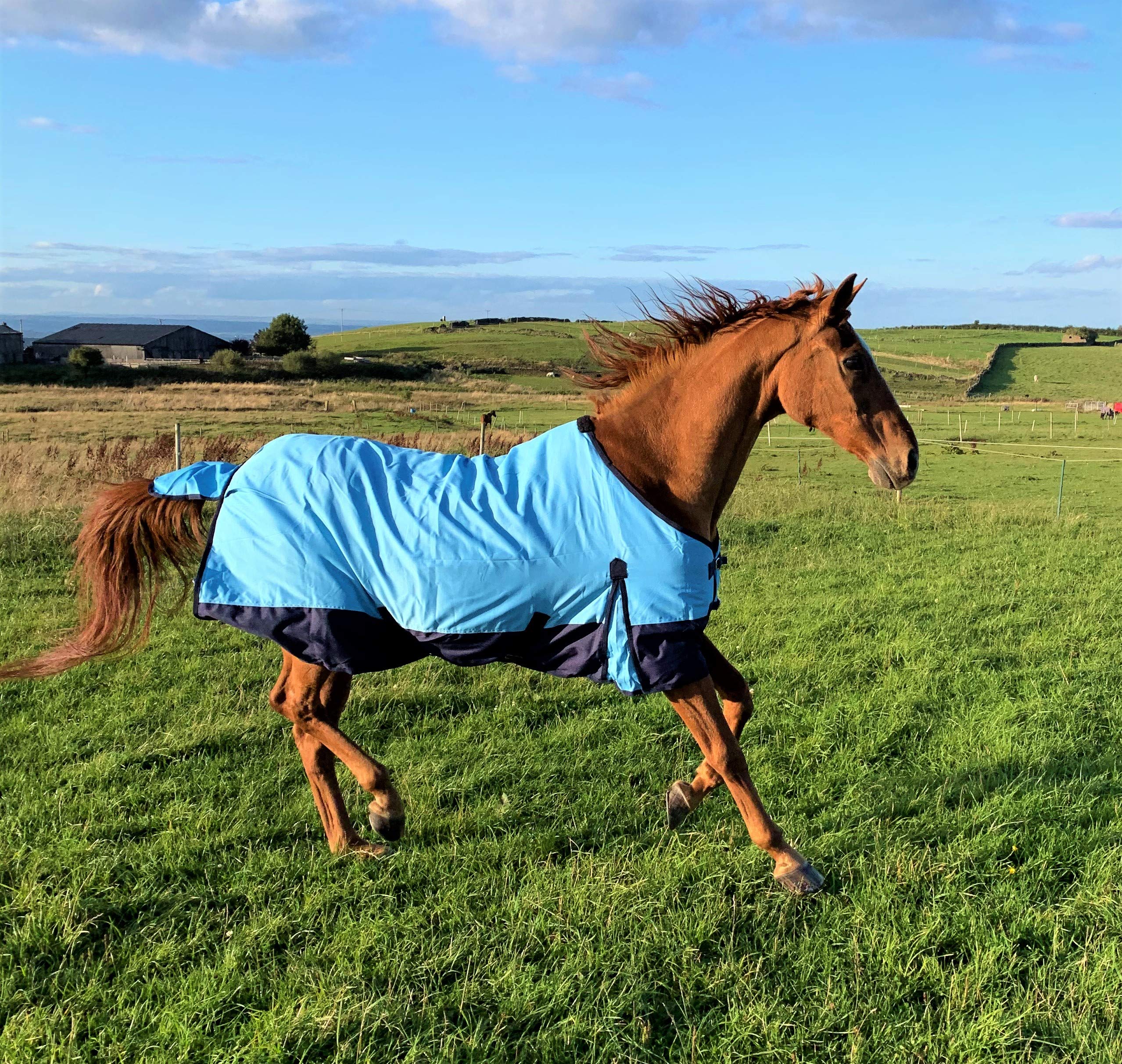 600D Light Weight Waterproof Horse Turnout Rug 100g Fill