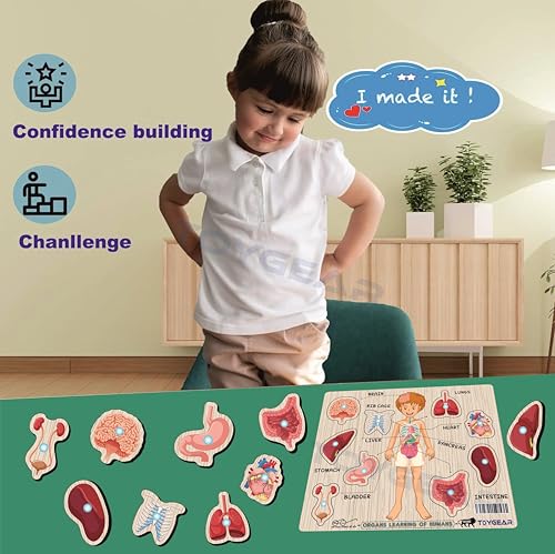 Image of Boysbodyparts Eco Friendly Materials Wooden Learning Toys Puzzle for Brain Training /jorky Cutting Puzzle for Home /School /Non-Toxic /Education Memory Games for Baby Boy and Girl