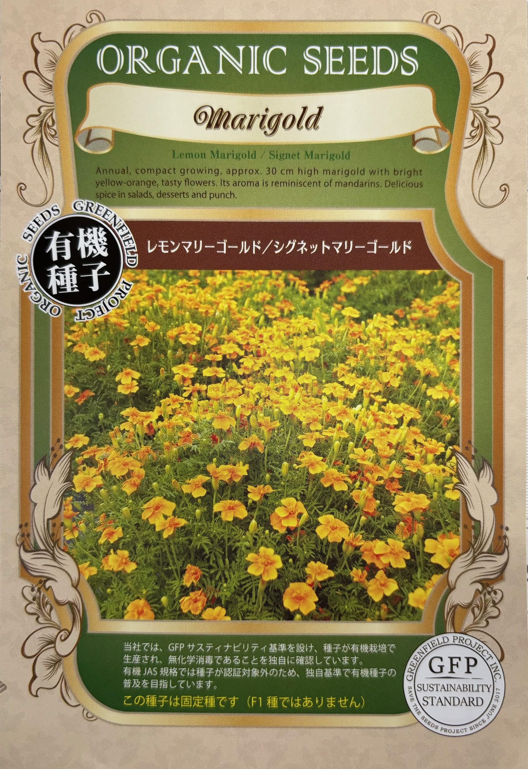 marigoldsさん専用　同梱追加分 Amazon.co.jp: [Compatible Models] Lemon Marigold / Signet