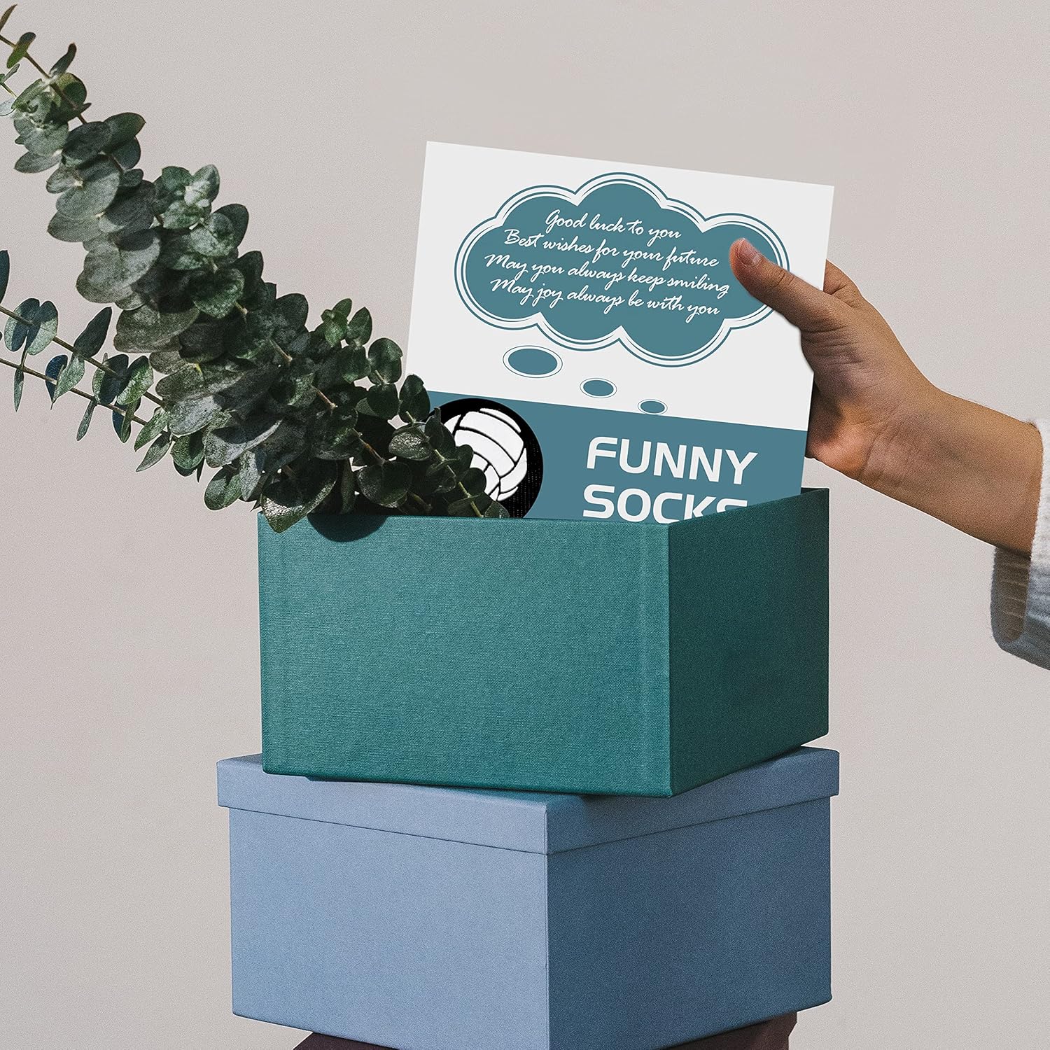 Belloxis 5-Pair Cute Funny Animal Socks for Women & Girls, Comfortable Cotton Crew Socks for Daily Wear, Great Gift Ideas - Image 4