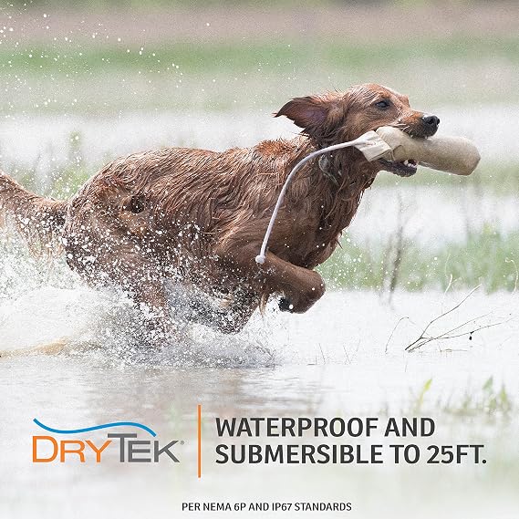 SportDOG FieldTrainer 425X 2 Dog Remote Trainer, 500-Yard Range