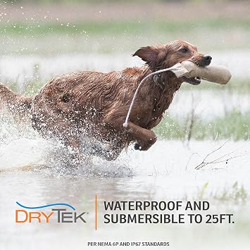SportDOG FieldTrainer 425X 2 Dog Remote Trainer, 500-Yard Range
