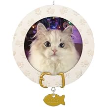 Hallmark Keepsake Christmas Ornament, Furry Friend 2025 Photo Frame, Pet Gifts