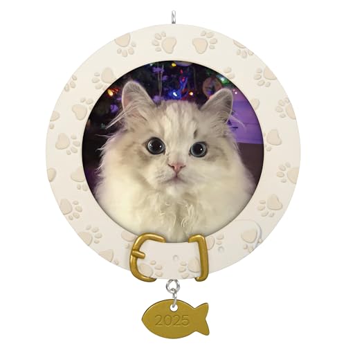 Hallmark Keepsake Christmas Ornament, Furry Friend 2025 Photo Frame, Pet Gifts