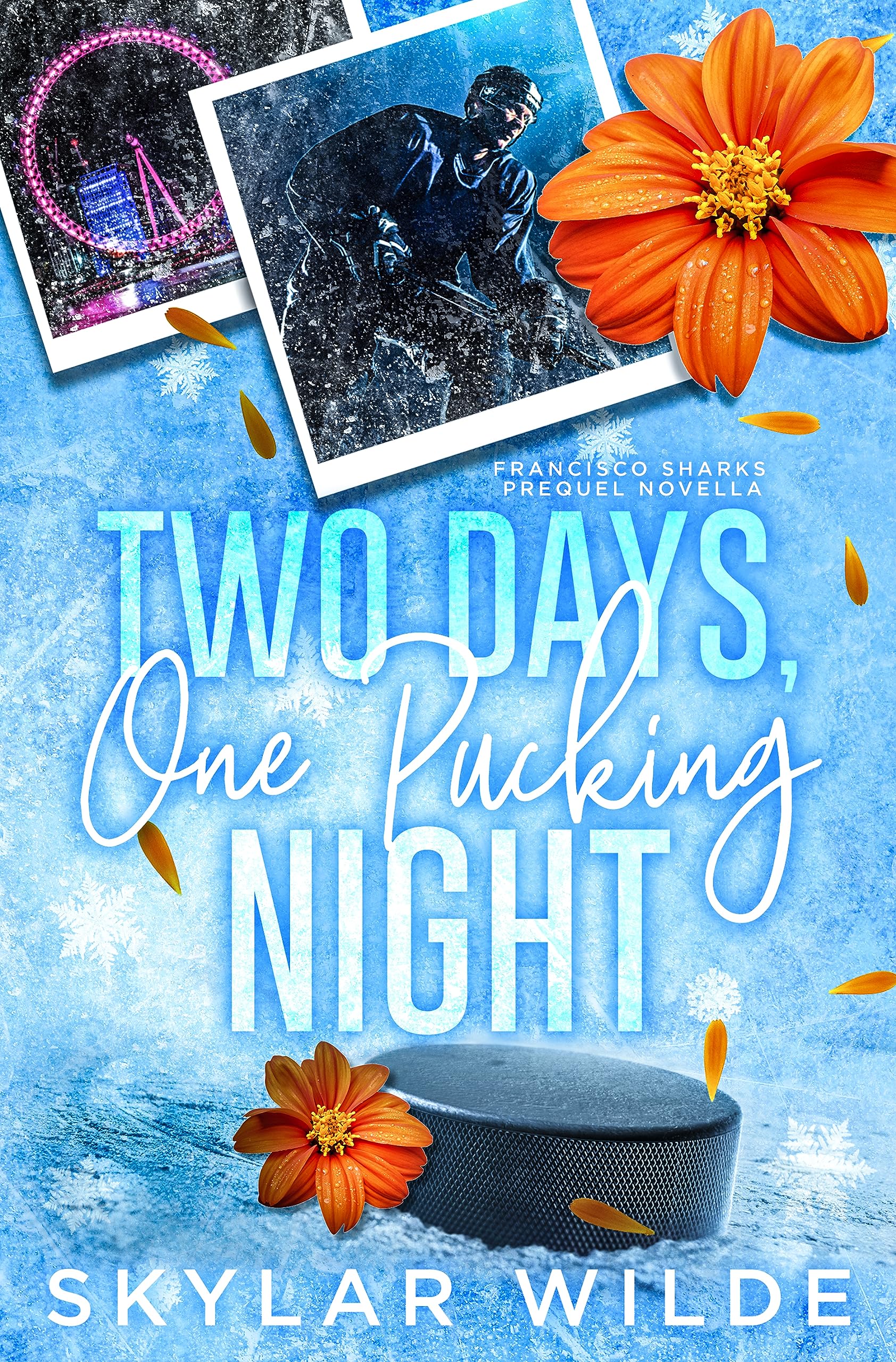 Two days, One Pucking Night: A Brother's Best Friend Hockey Romance (Francisco Sharks)