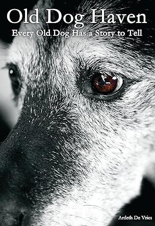 Old Dog Haven