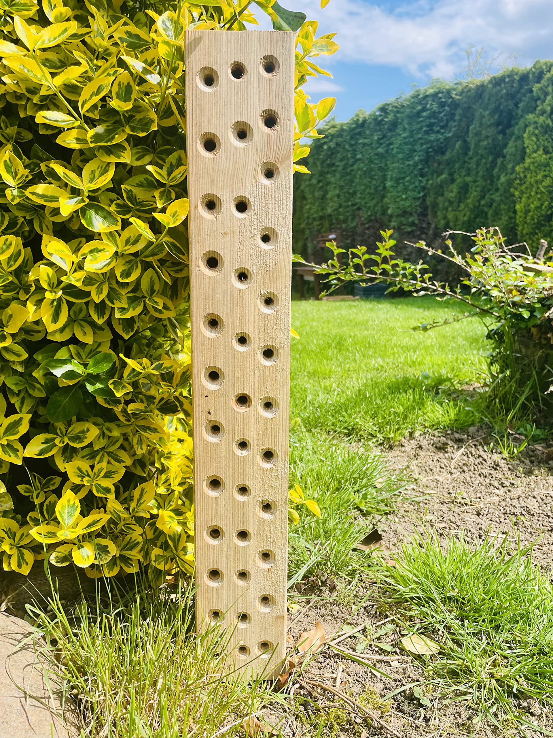 Wildbienen - Insektenhotel Nisthilfe Hartholz Stamm Naturbelassen 600 mm Bienenhotel Stamm Insektenhotel Wildbienen Massivholz Hartholz Wildbienenhotel
