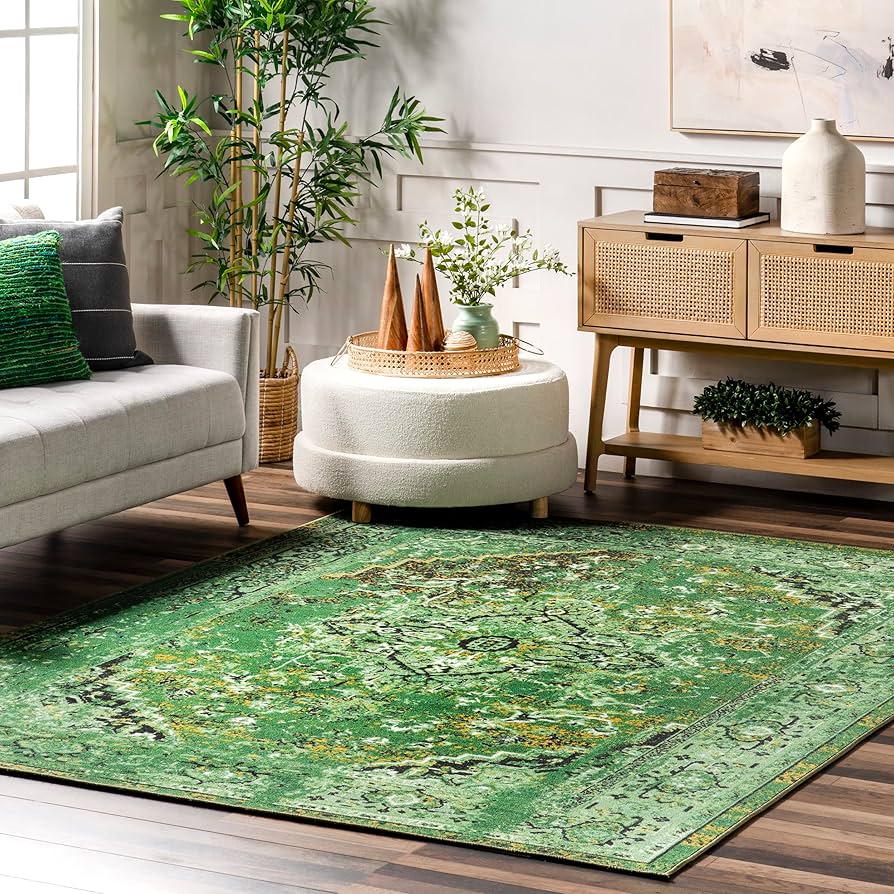 Amazon.com: nuLOOM Vintage Persian Area Rug, 3' x 5', Reiko