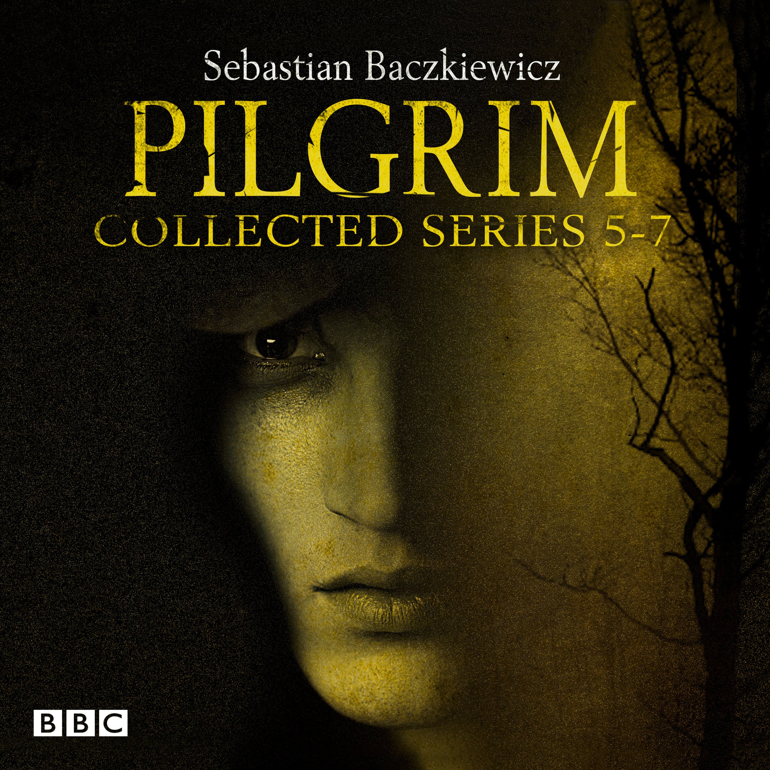 Cover art for Pilgrim Series 5-7