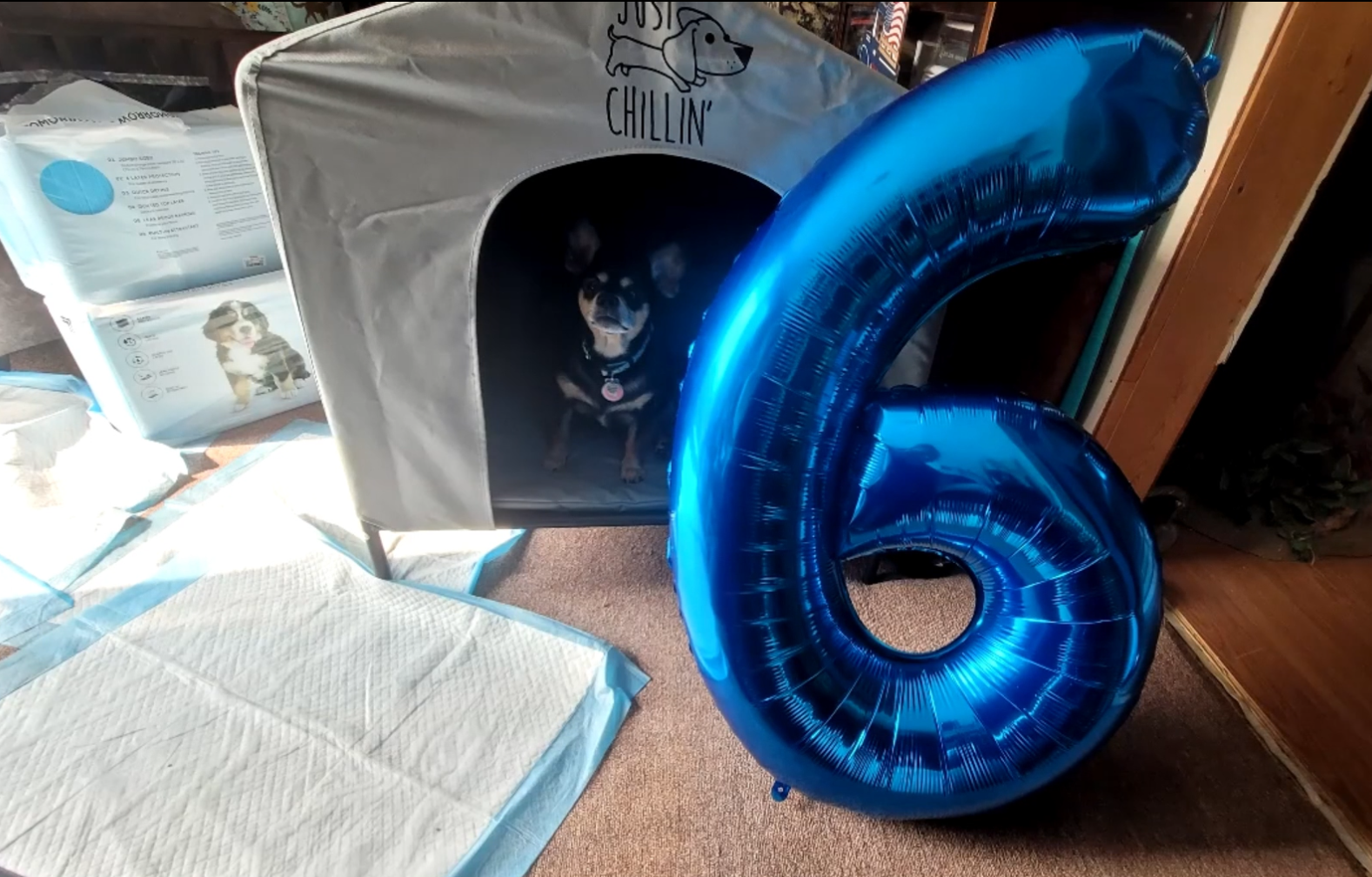 Amazon.com: 5 Balloon Numbers 40 Inch Blue Birthday Decorations