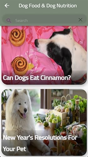 Dog Food & Dog Nutrition
