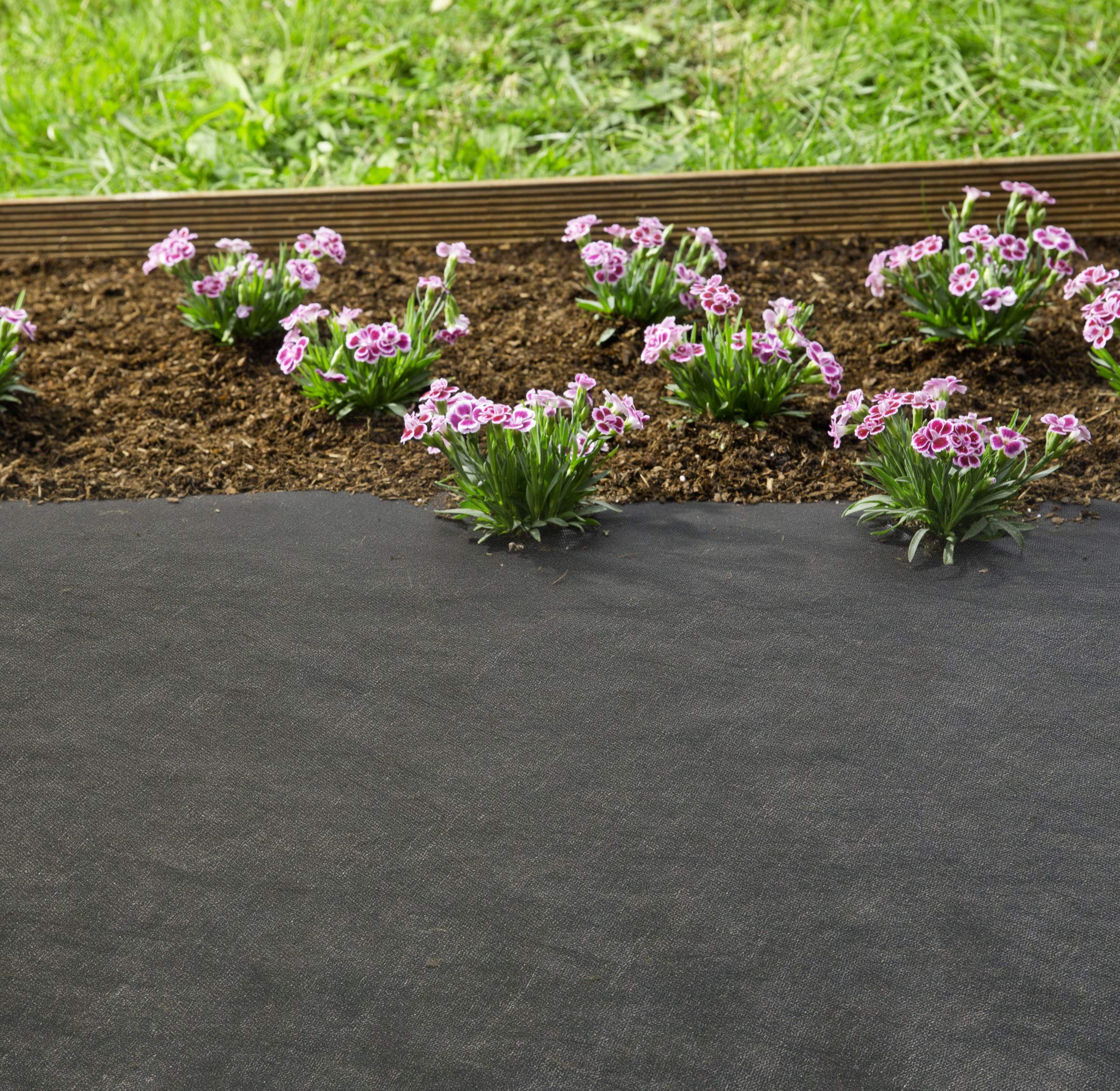 Tessuto Non Tessuto Per Erbacce Windhager 06719 - Ecologico 50 G/m², 5x1,6 M, Nero, In Fibre Rinnovabili, Senza Petrolio