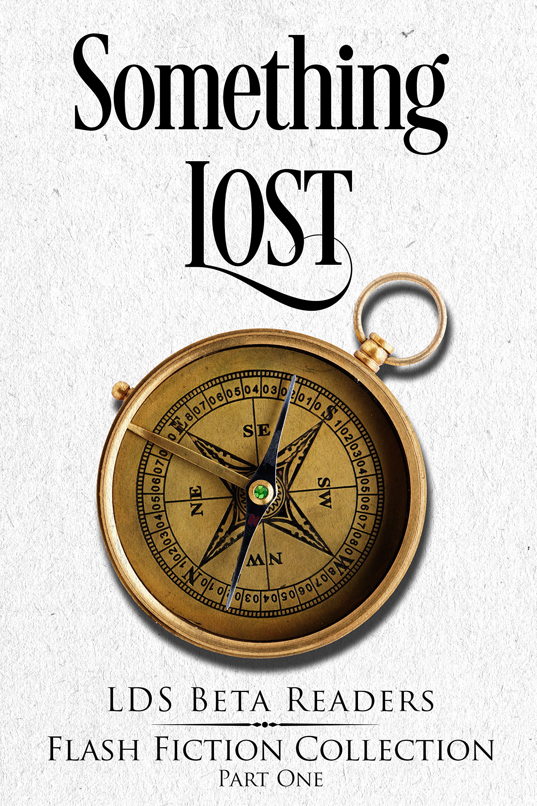 Cover of Something Lost