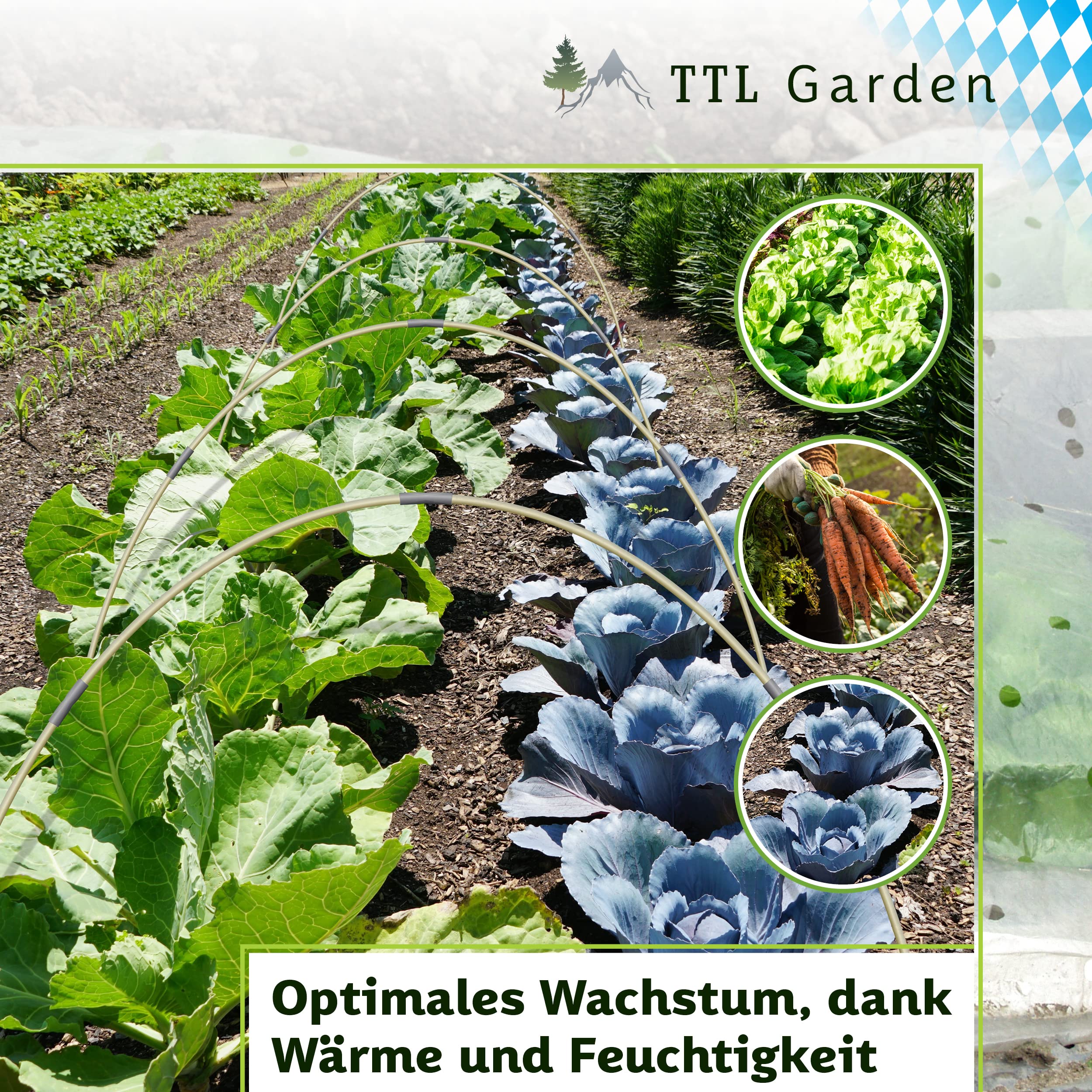 TTL GARDEN Folientunnel Set Flex L 20 mit PE Folie 6 x 2,5 m - 6 x Fiberglas Bögen & PE Anzuchtfolie 6x2,5m breit, Rund Bogen für Abdeckung Frühbeet Hochbeet Gemüsebeet, stabil langlebig & rostfrei