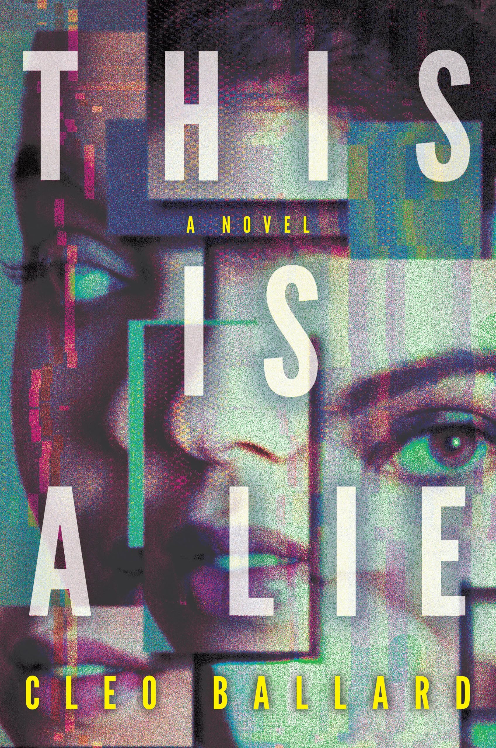 This Is a Lie: A Novel