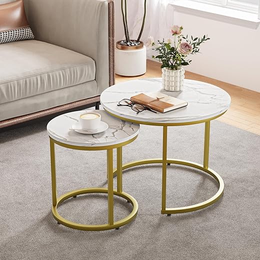 Smuxee White Nesting Coffee Table Set of 2