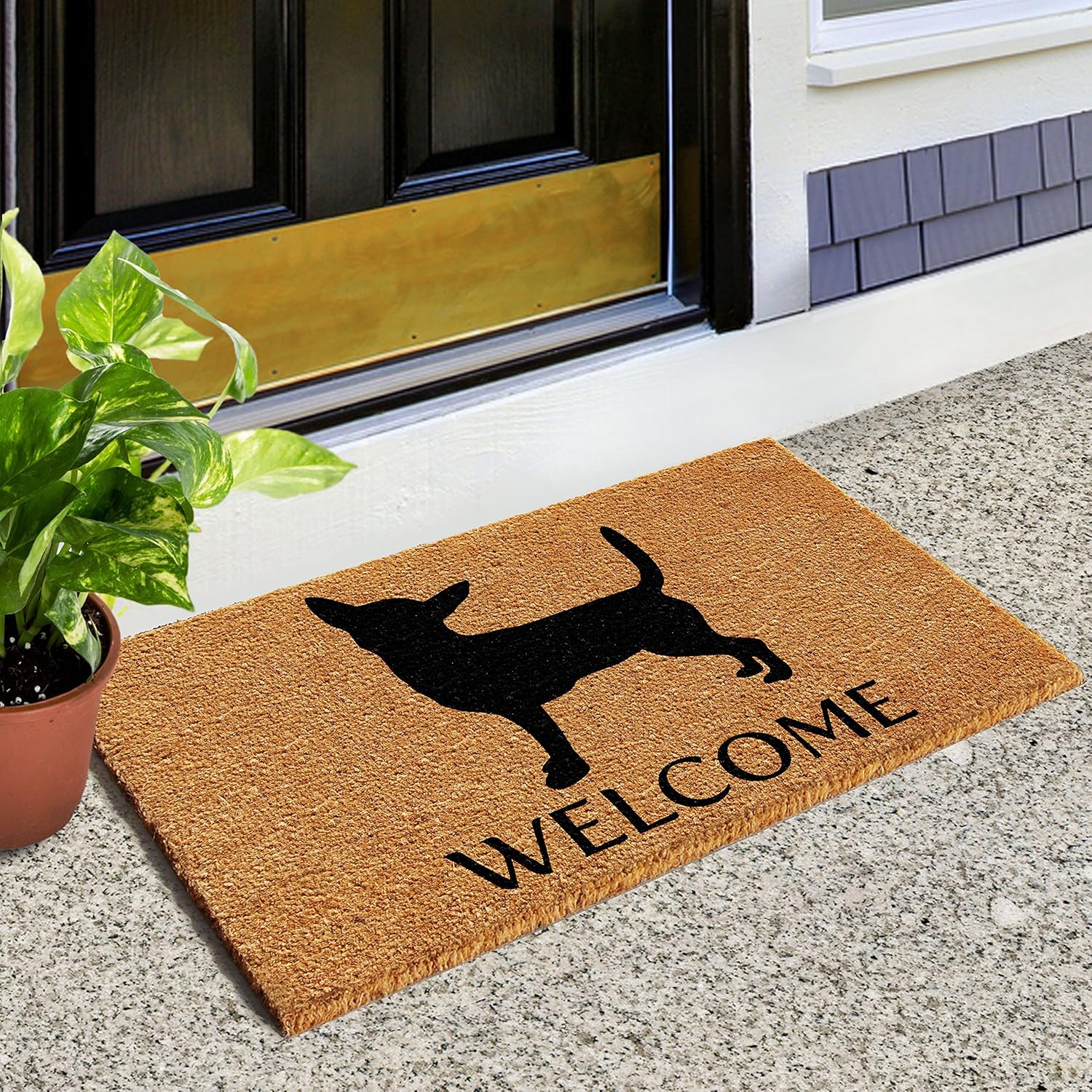 Calloway Mills 103002436 Chihuahua Doormat, 24" x 36", Natural/Black