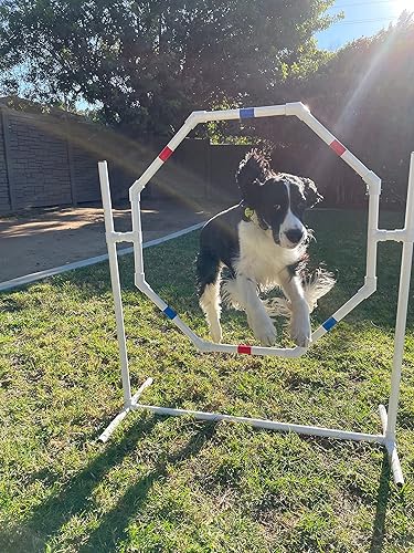 Miniatura 3 de Juego de cursos de equipo de entrenamiento de agilidad para perros, postes de tejido, salto de agilidad para perros con tazas de salto de agilidad