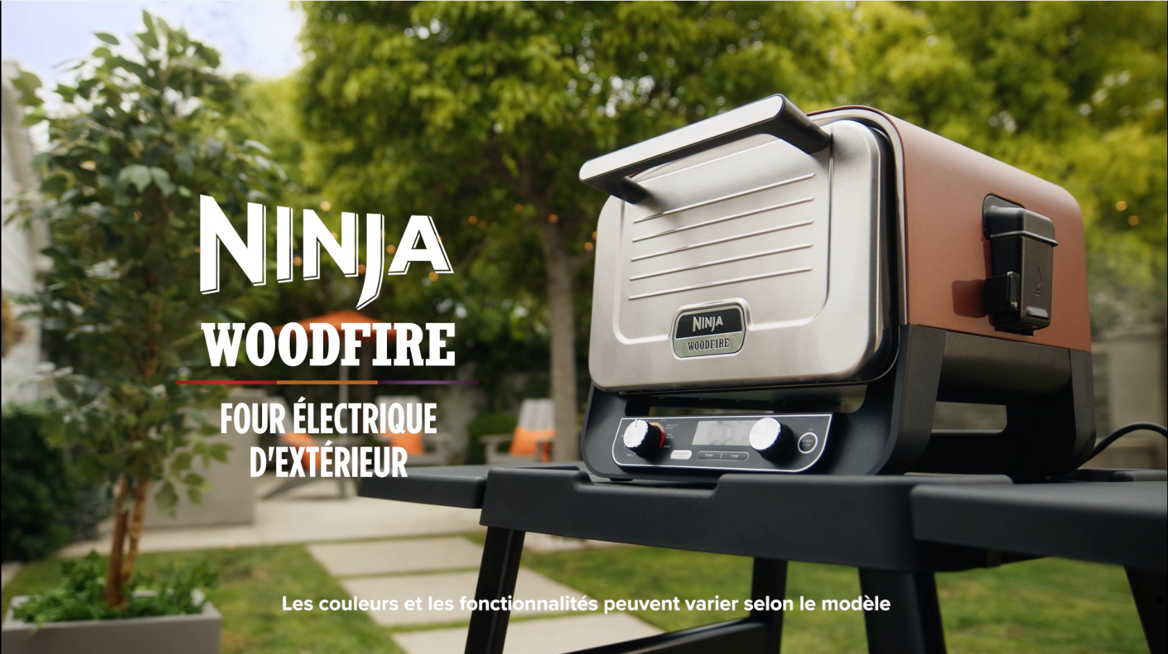 Ninja Woodfire Plaque En Fonte 28 X 30 Cm – Cuisson Haute Température – Grill, Noircir, Caraméliser – Compatible OO101UK