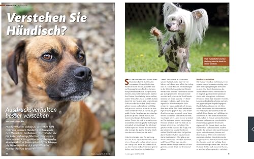WUFF-Magazin