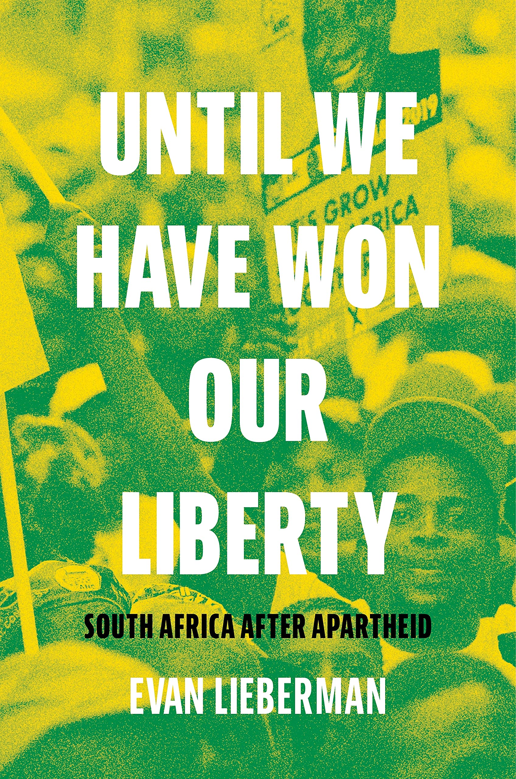 Until We Have Won Our Liberty by Evan Lieberman HARDBACK 9780691203003
