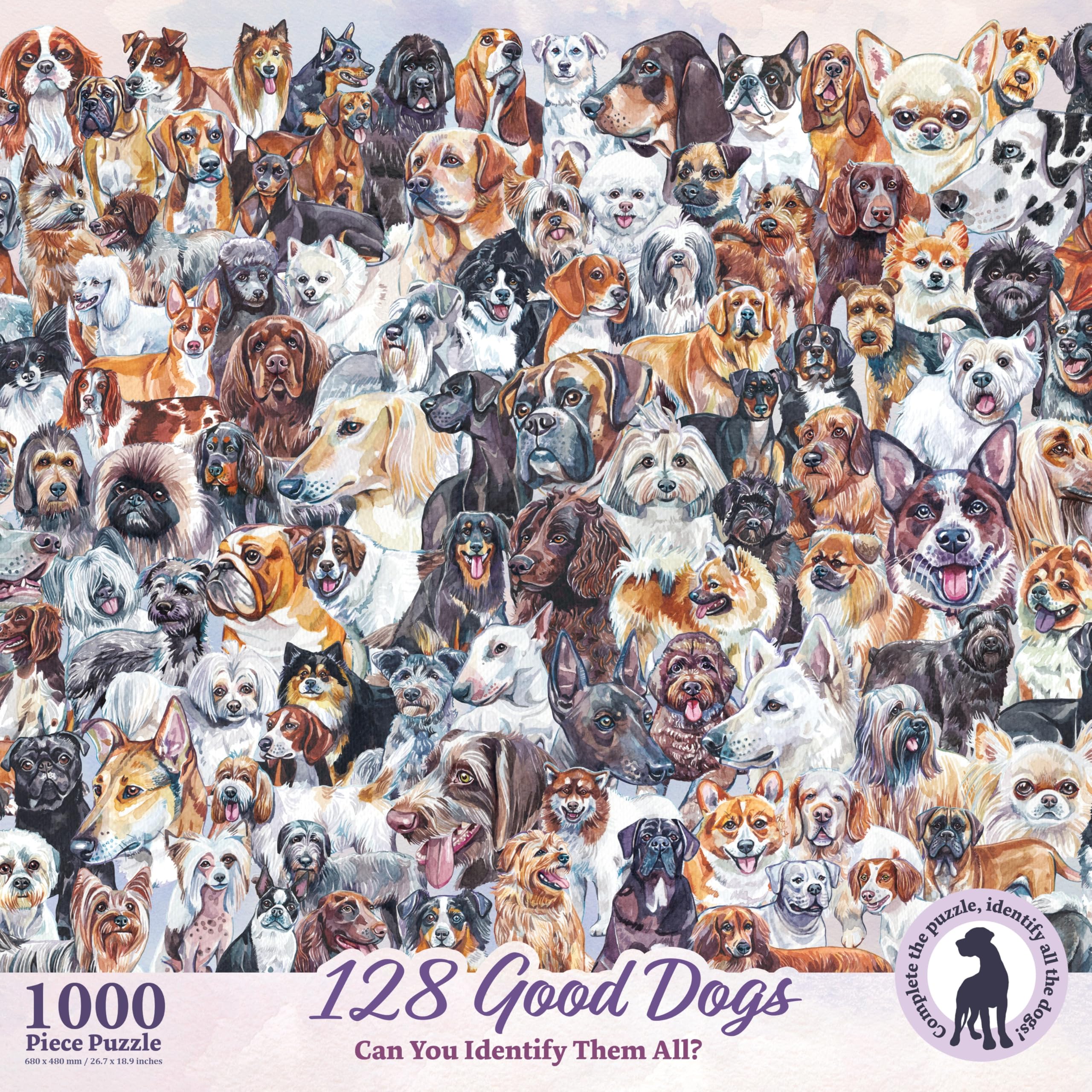 HOUND DOG パンフレット 12冊セット Amazon.com: 128 Good Dogs: Can You Identify Them All? by Birdwood