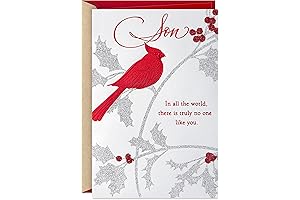 Cherish the Moment with Hallmark's Christmas Card for Son Featuring a Cardinal
