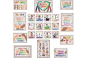 22Pcs Calming Corner Resources Emotions Control Calm Down Strategy Posters