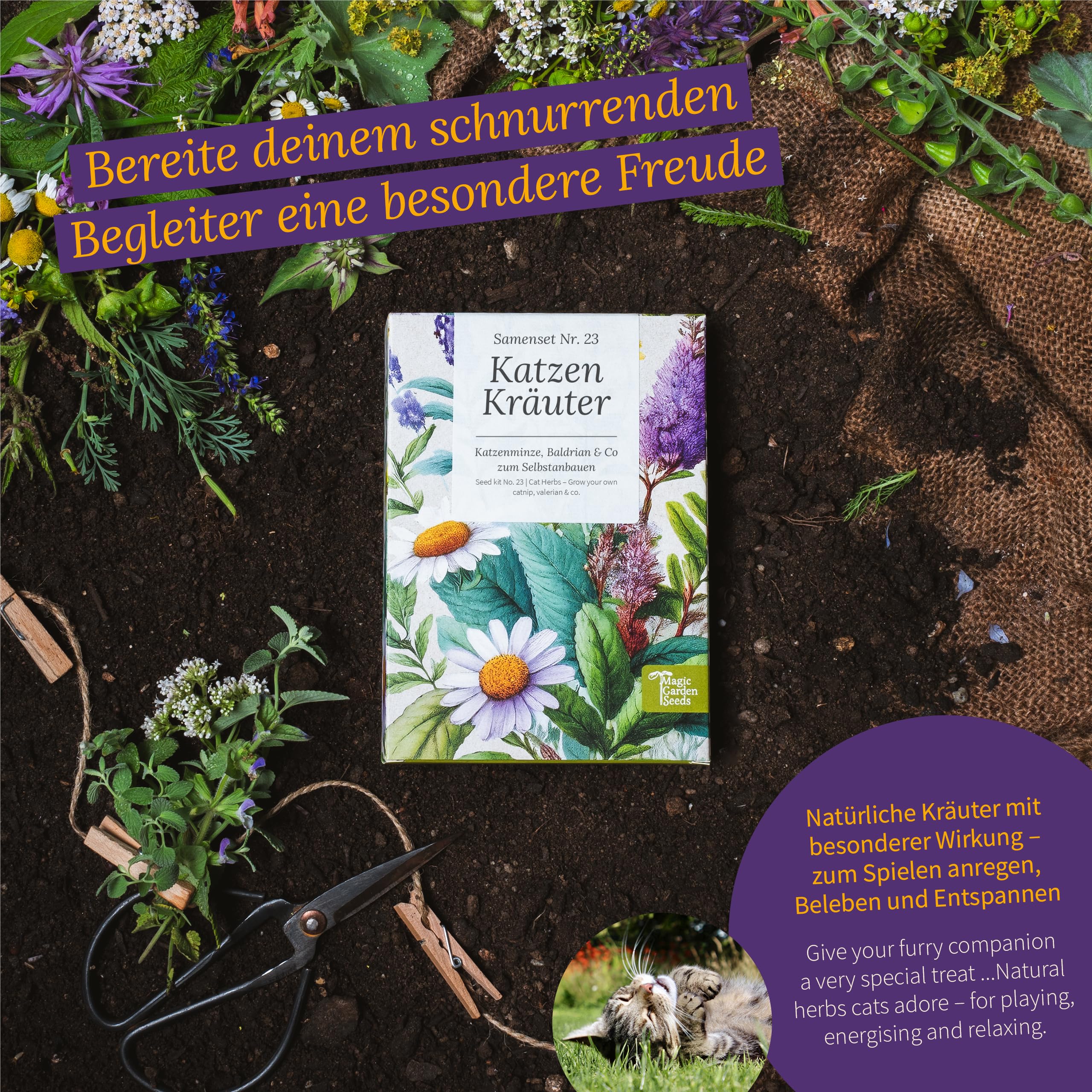 Magic Garden Seeds - Kocie zioła: kocimiętka, waleriana, szałwia muszkatołowa i trawa dla kotów – pudełko na nasiona z 4 ziołami do zabawy, gryzienia i relaksu